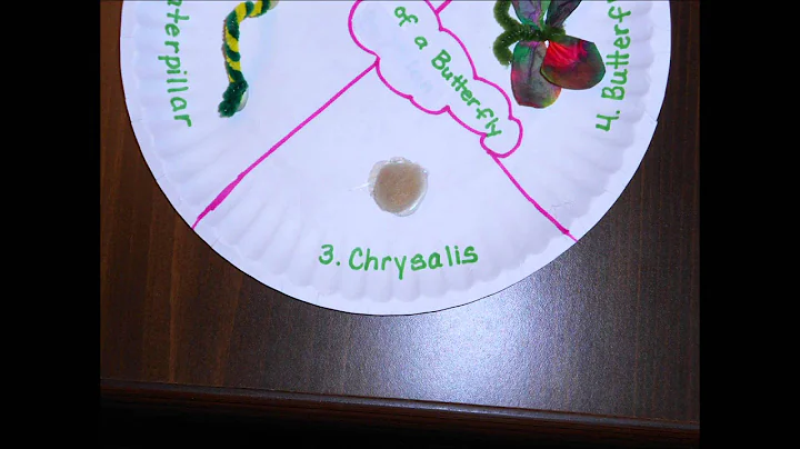 Video on life cycle