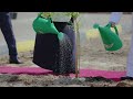 يوم التشجير في أسري (دمت خضراء)