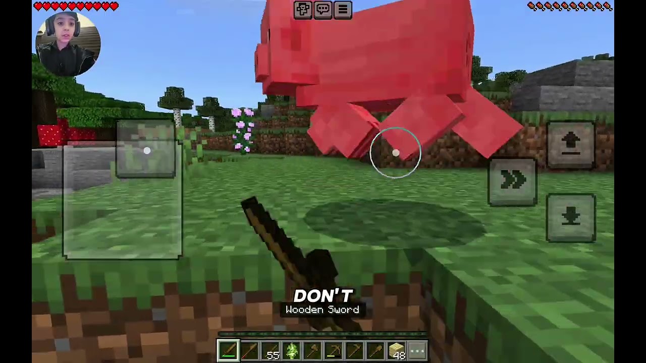 Minecraft amazing video 