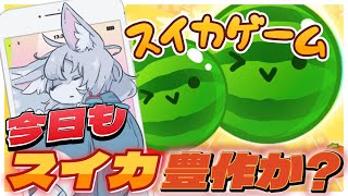 【#スイカゲーム 】🍉今日もスイカ０個は無いはず！🍉【初見さん大歓迎 】　#Vtuber　#shorts