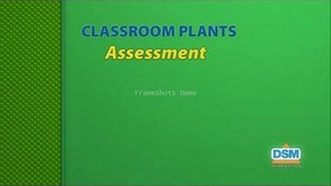 Classroom Plants - Assessment