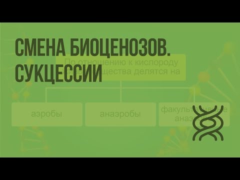 Смена биоценозов. Сукцессии. Видеоурок по биологии 11 класс