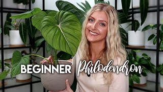 BEST AND WORST RARE PLANTS FOR BEGINNERS! | 13 Philodendron!