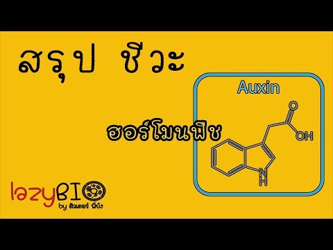 วีดีโอ: ฮอร์โมนพืชทำงานอย่างไร: เรียนรู้วิธีใช้สารควบคุมการเจริญเติบโตของพืช