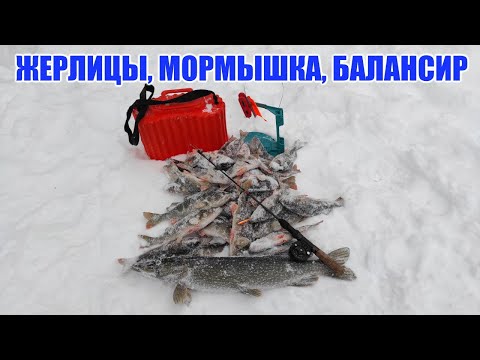 Жерлицы, мормышка, балансир. Рыбалка на таёжном озере.