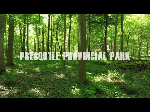 Presqu'Ile Provincial Park - May 2022