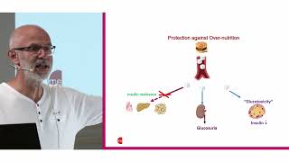 medArt2022 Mittwoch 02 Diabetes  M Donath