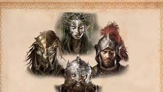 Divinity original sin 2 Фейн