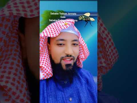 SHIRKKIIN XIQQOO HIN QABDUU ERRAA FAGAADHAA