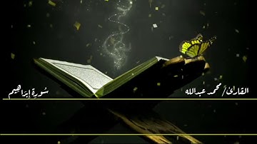 خواتم سورة إبراهيم بصوت جميل جدا #أطمئن_قلبي