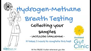 Instructions For The Hydrogen-Methane Breath Test With Lactulose Auckland Gut Clinic