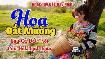 HOA ĐẤT MƯỜNG . LK Nhạc Tây Bắc Hay Nhất 2024 . Nhạc Vùng Cao Tây Bắc | Say Nghiêng Cả Đất Trời