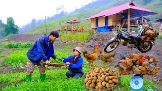 FULL VIDEO: 3 ปีกับภรรยาที่ใช้ชีวิตนอกระบบ - เลี้ยงไก่, ขายไก่, ปลูกมันฝรั่ง