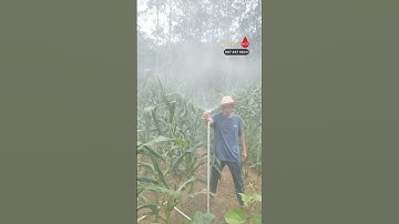 Béc phun mưa trụ tròn đầu béc chỉnh được tầm phun giá quá rẻ bằng đồng nguyên khối #becphunmua