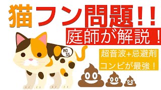 【最強】猫のフン害対策【迷惑な芝生などへの糞尿】