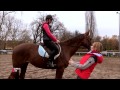 Dédramatiser le saut d'obstacle avec votre cheval