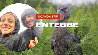 First impressions of Uganda  Arriving in Entebbe