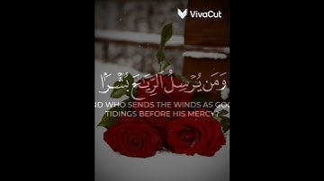 قرآن كريم 🌿 بصوت جميل من سورة النمل