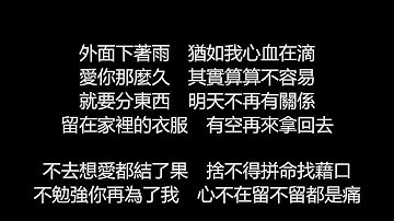張惠妹 - 我可以抱妳嗎(歌詞版)