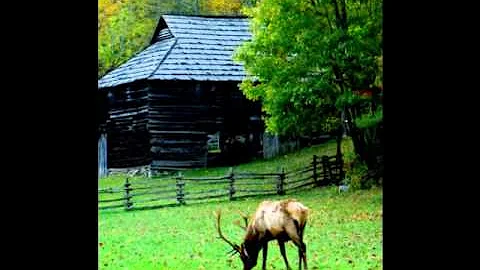 Landscapes by Steven Faucette Photography