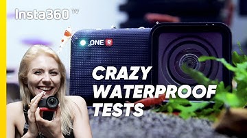 Is Insta360 ONE R the BEST Underwater Camera?