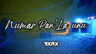 DJ NUMAR PAN' LA UNU REMIX VIRAL TIK TOK 2020 FULL BASS