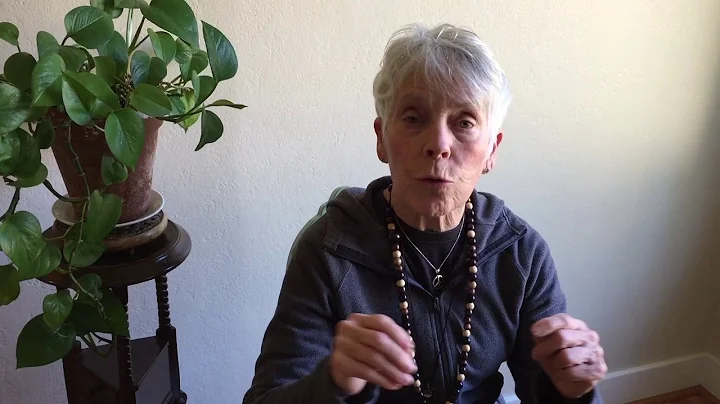 Cheri Huber: The Power of Reassurances through Thi...
