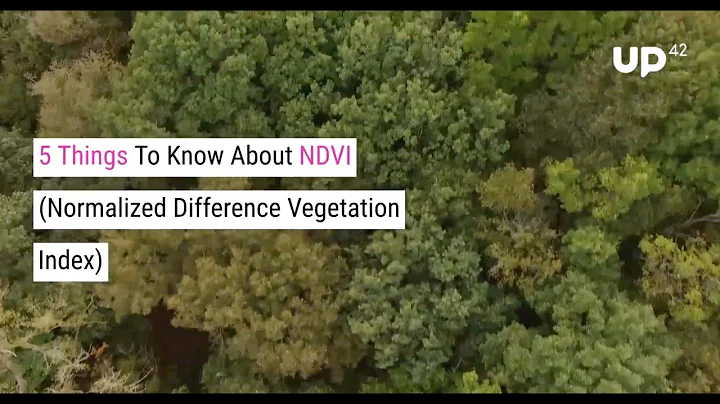 5 Things To Know About NDVI (Normalized Difference Vegetation Index)