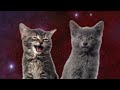 [10 Hours] Space Cats - Magic Fly (by Enjoyker) - Video & Singing Cats [1080HD] SlowTV Mp3 Song