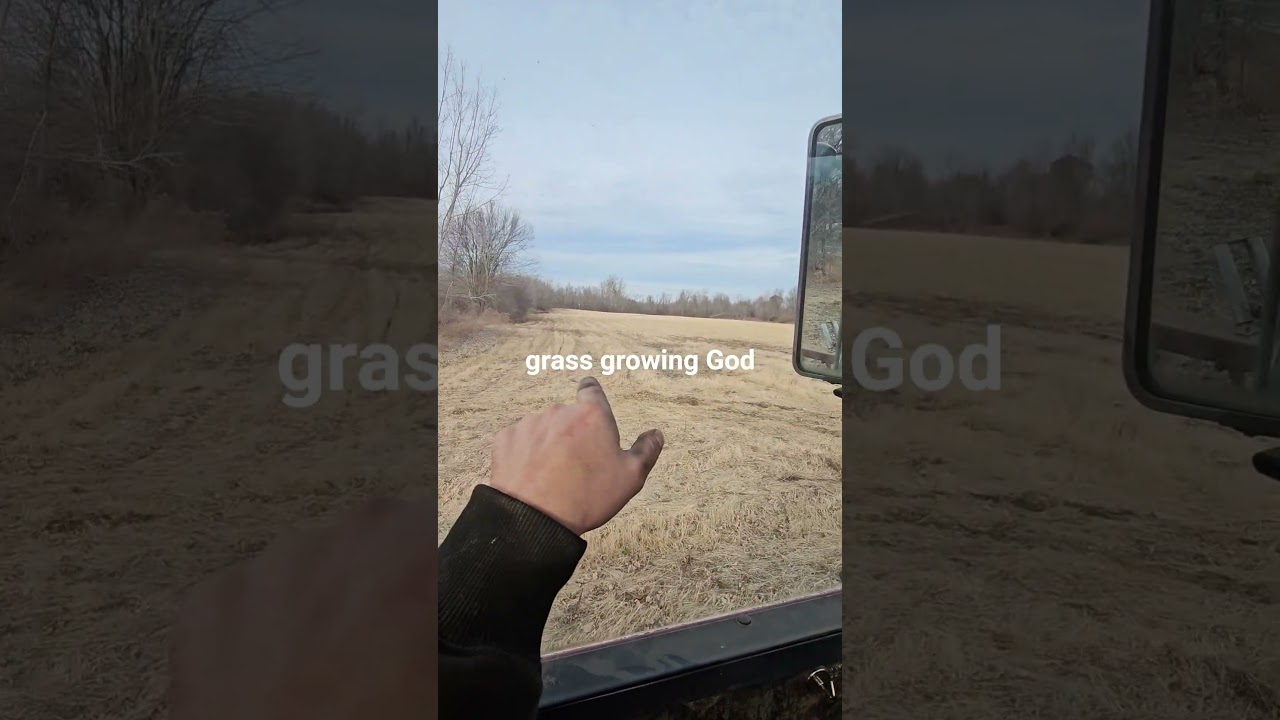 Расширяем нашу семейную ферму за счет новых сельскохозяйственных угодий!