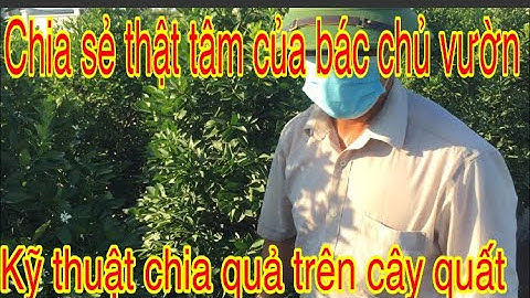 CHIA SẺ QUÝ BÁU CỦA BÁC NÔNG DÂN 20 NĂM TRỒNG QUẤT CẢNH VỀ GIAI ĐOẠN TẨY QUẢ CÂY QUẤT CẢNH