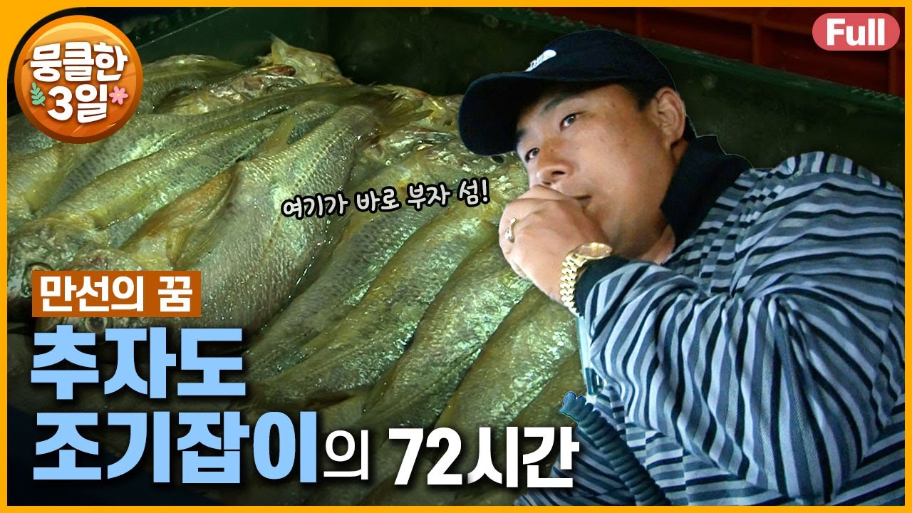 [풀영상] 금고기 황금어장 추자도 🐟 만선의 꿈을 안고 오늘도 바다와 함께한다 🌊 다큐3일 ‘추자도 조기잡이’ | KBS 방송