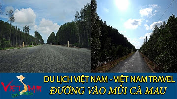 Đường vào mũi Cà Mau (Điểm cuối cực nam của Tổ Quốc) #4 | Du Lịch Việt Nam-Vietnam Travel