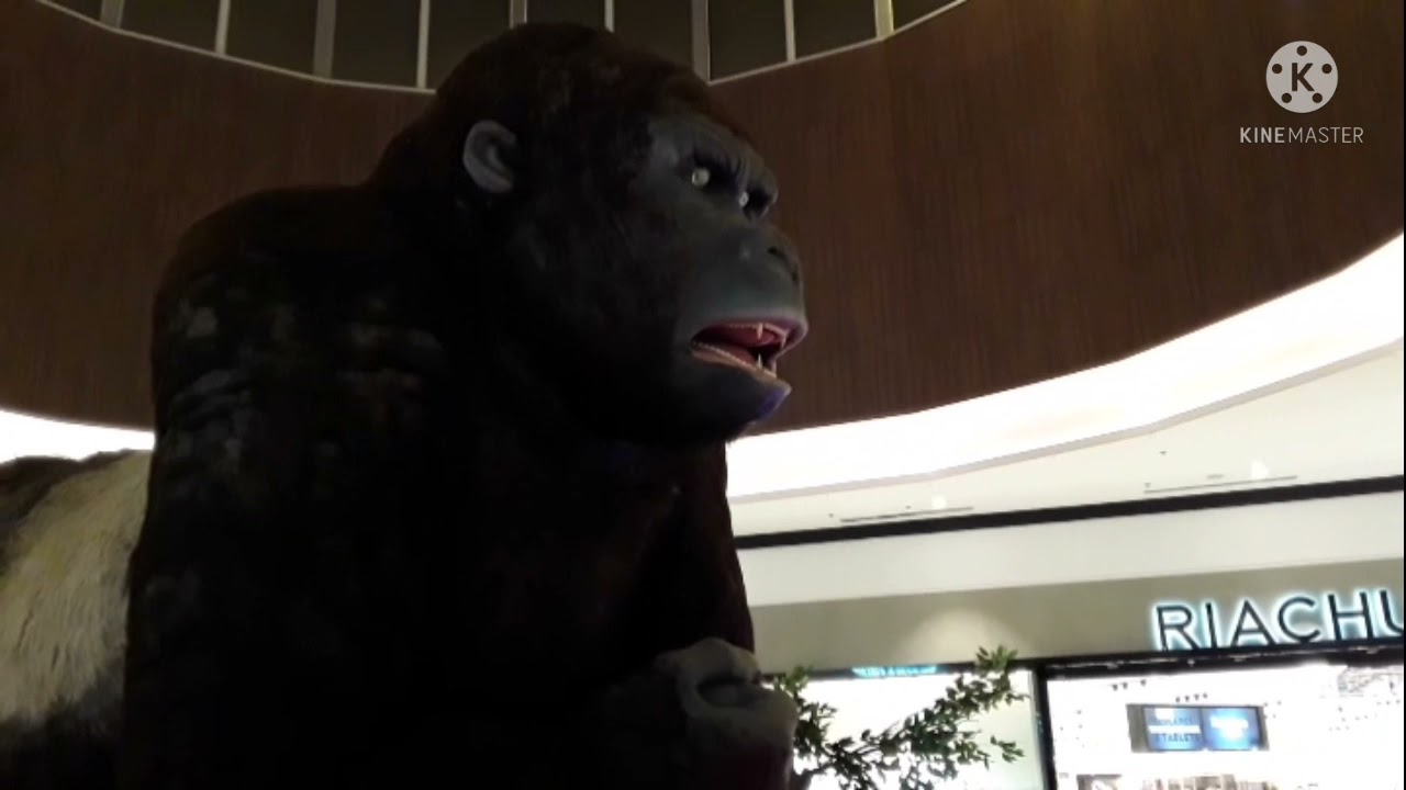 fomos no shopping!! Guarapuava Pr #2