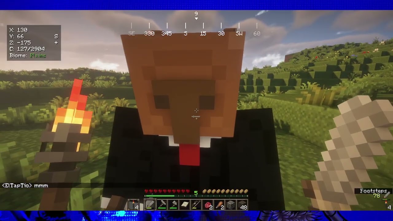 Minecraft memorycard 05