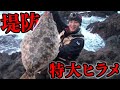 【10年前シリーズ】見たこともないバケモノ級の魚が、堤防からどんどん釣れた!|釣りよかでしょう|