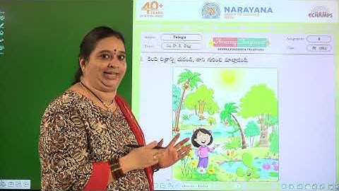 4TH AUG AP CLASS IV SL TELUGU ASSIGNMENT 8