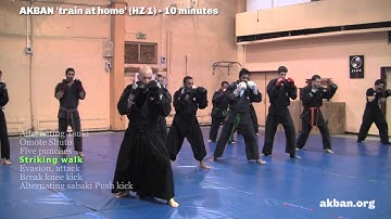 How to do Ninjutsu striking - sabaki basic combos - AKBAN Ninjutsu training