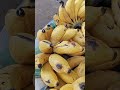 #funny #lifeisbutadream #minivlog #whowillbemylifepartnerta #shortvideo #vlog #haveitoldyoulatelytha