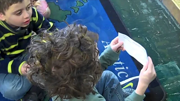 Skype with Jean Pennycook (Antarctica)