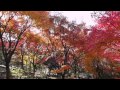 宇治市植物公園 の動画、YouTube動画。