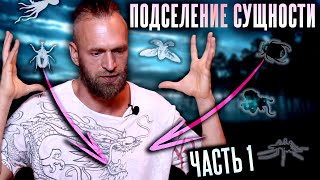 Астральные сущности #1: Что такое лярвы? Как выглядят? Какие бывают? Подселение сущности