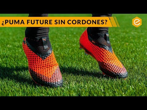 cordones puma future