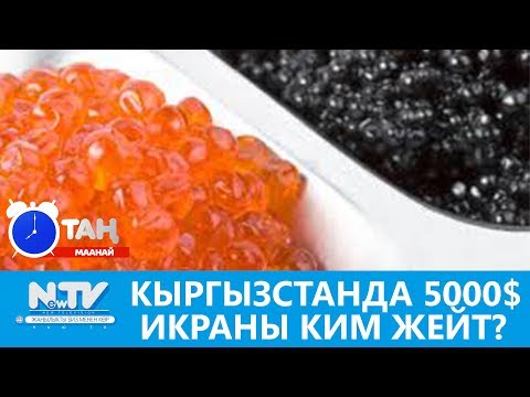 Video: Кара балыктын сүрөттөлүшү