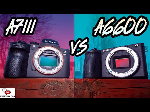 Sony A6600 VS