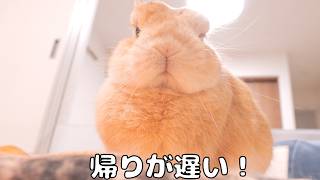 ウサギの隊長♡˶•ᴗ•˶♡様 リクエスト 2点 まとめ商品 YouTube