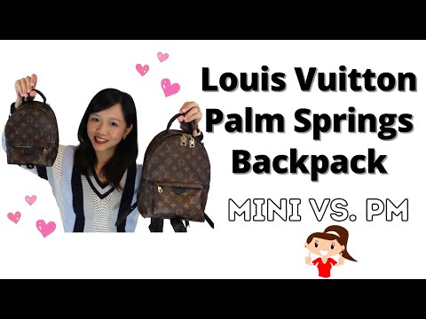 Bum Bag vs. Palm Springs Mini Backpack  LOUIS VUITTON BAG COMPARISON + MOD  SHOTS 
