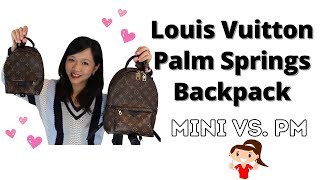 Louis Vuitton Palm Springs Backpack PM Review+What Fits, elle be