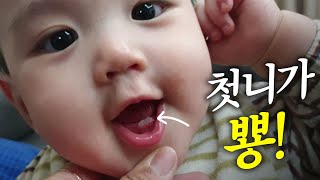 [VLOG] 이가 났어요🦷 귀염뽀짝 강냉이 공개! (폐렴 치료🥵, 눈오는 생일, 부산 당일치기)