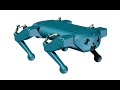 DIY quadruped robot (cheap with suspension)